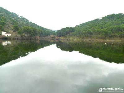 Ruta del Turrón y Polvorón - Los Pinares del Rey: naturaleza y biodiversidad; sierra de guadarrama r